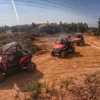Passeio de Buggy com Experiência Equestre - Image 3