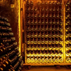 Voucher Gift <br> Bairrada e as suas Caves Centenárias!