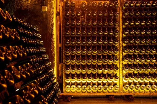 Bairrada e as suas Caves Centenárias!