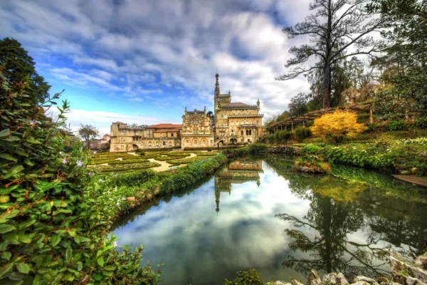 Voucher Gift <br> Bussaco e a Serra mágica!